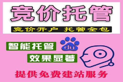 百度推广公司——品牌广告的投放技巧与效果
